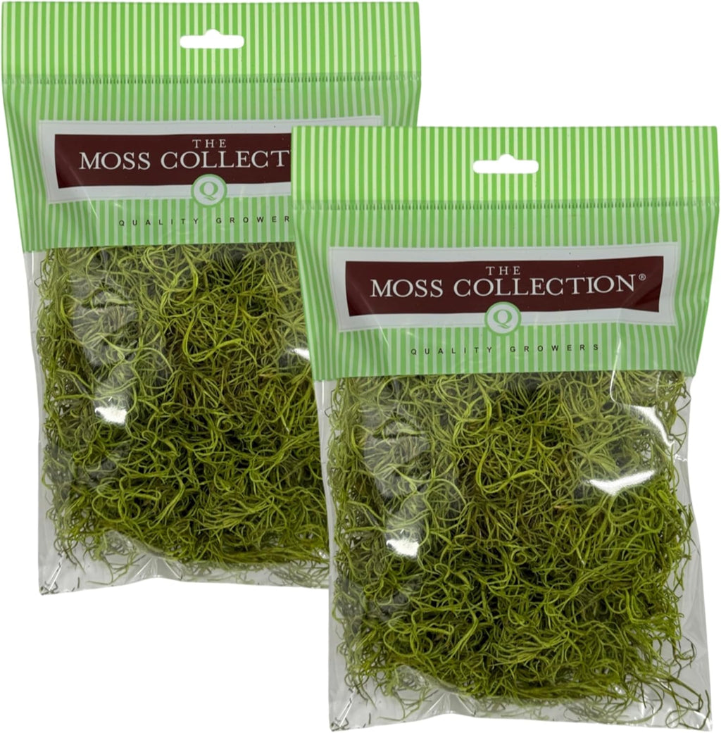 Preserved Spanish Moss - Premium Decorative Moss for Crafts, Home Décor, Art, Design & DIY Projects - Real Moss - Non-Toxic, USA-Made (Chartreuse, Small, 2-Pack)