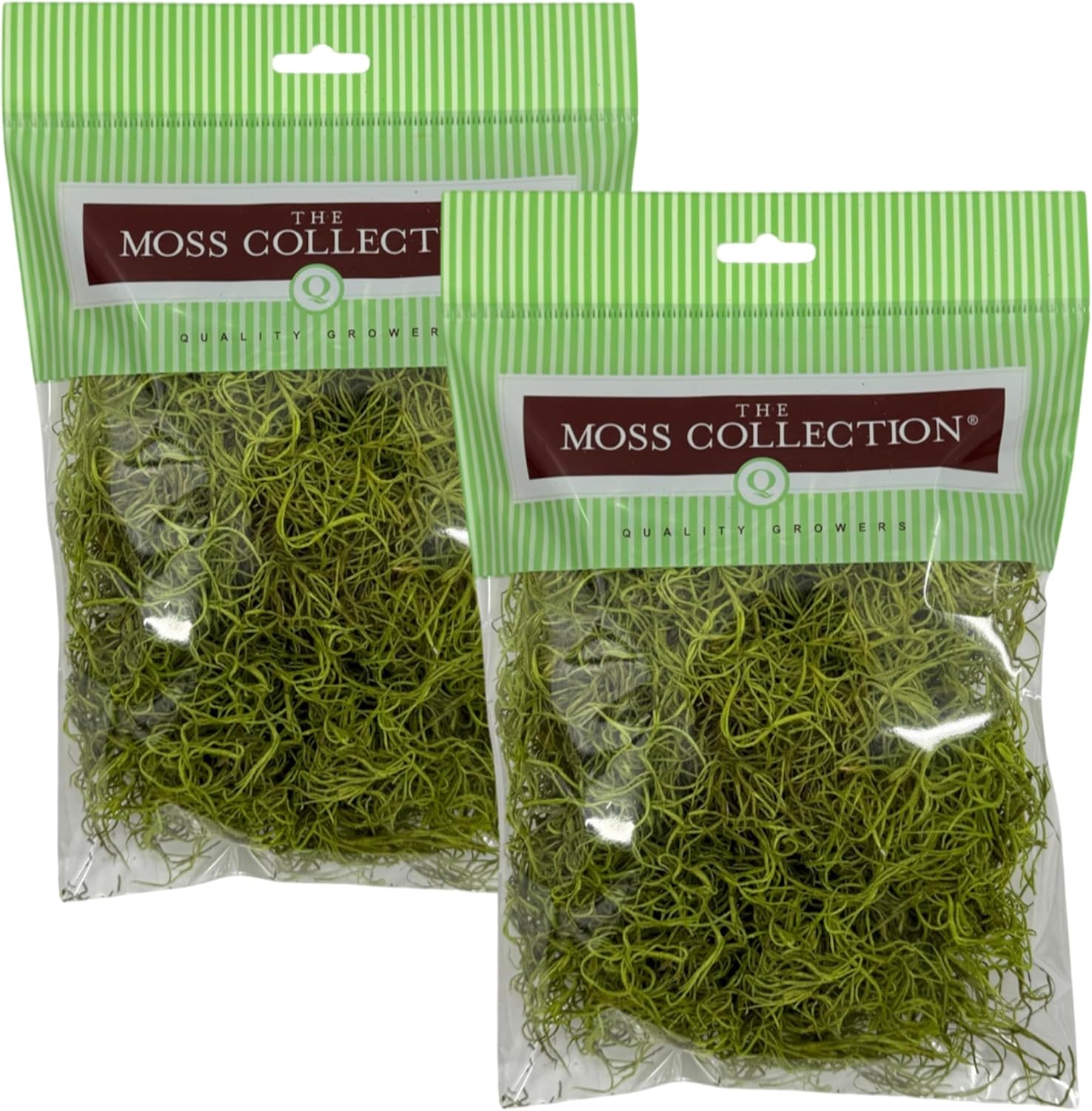Preserved Spanish Moss - Premium Decorative Moss for Crafts, Home Décor, Art, Design & DIY Projects - Real Moss - Non-Toxic, USA-Made (Chartreuse, Small, 2-Pack)