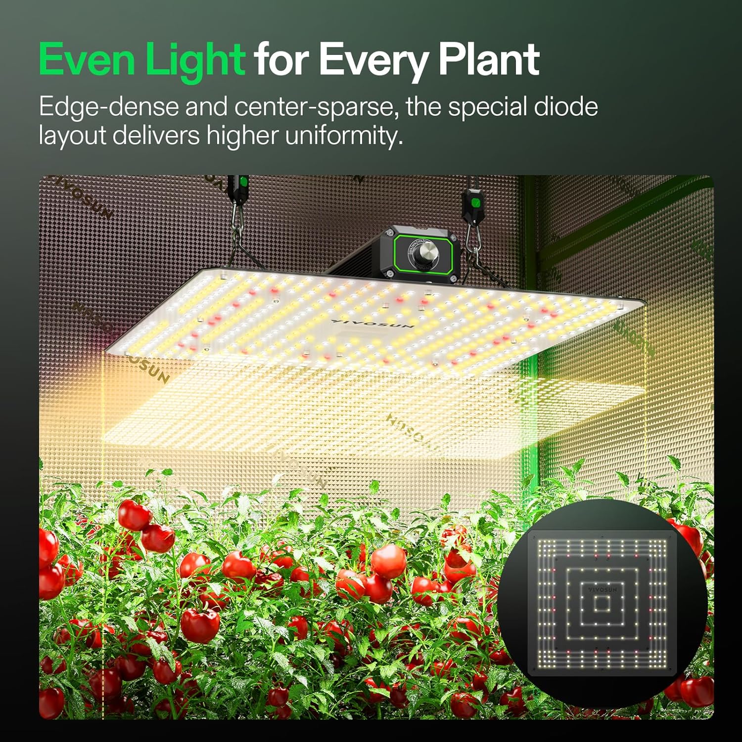 VIVOSUN VS1500 LED Grow Light with Full Spectrum Diodes & Daisy Chain Driver Dimmable Lights Sunlike for Indoor Plants Seedling Veg and Bloom Plant Grow Lamps for 3x3 Grow Tent