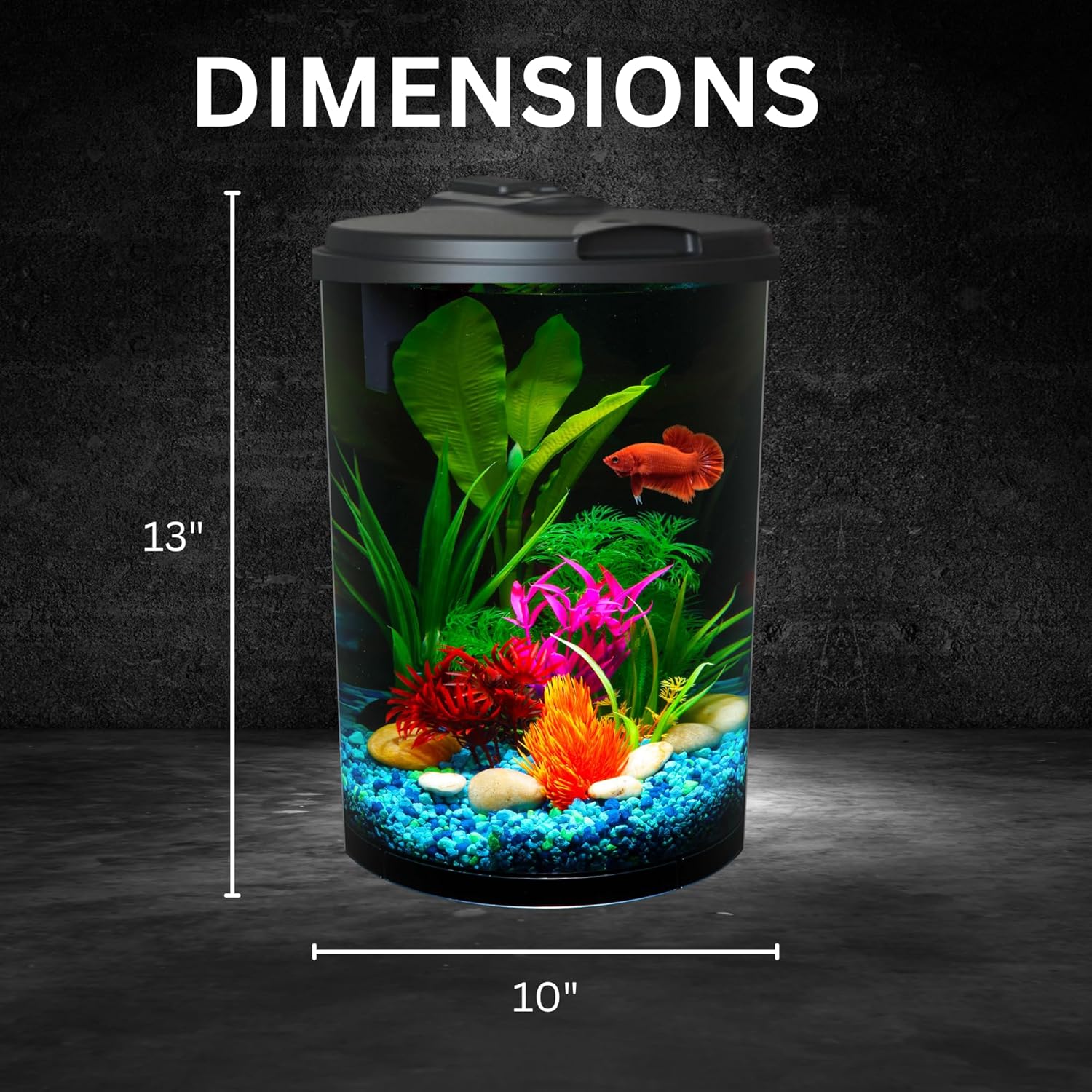 Koller Products 3-Gallon 360 Aquarium with LED Lighting (7 Color Choices) and Power Filter, Ideal for a Variety of Tropical Fish,Crystal-Clear Clarity,AP360A-3FFP