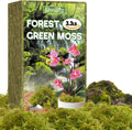 ZeeDix 3.3 lbs Forest Moss for Plants Indoor - Dried Orchid Moss for Repotting, Natural Green Sphagnum for Potted Plants Carnivorous Monstera Succulents Crafts Reptile Habitat (Expands to 60 qt)