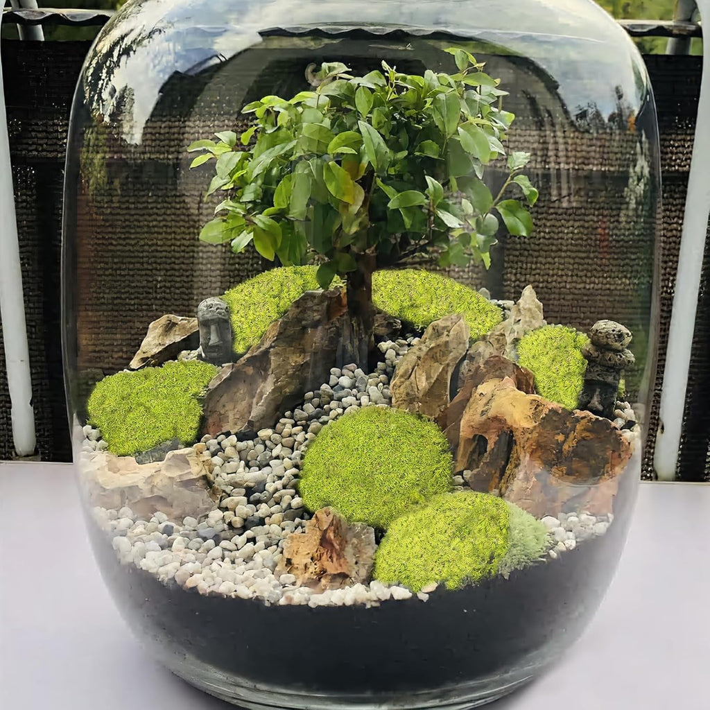 FAICOIA Preserved Pillow Moss Bulk Green Moss Balls for Bowls 2.5 sq.ft Natural Preserved Pole Moss Pillow for Wall Art Terrariums Crafts Fairy Gardens Pot Plants Easter Table Decor Yellow Green