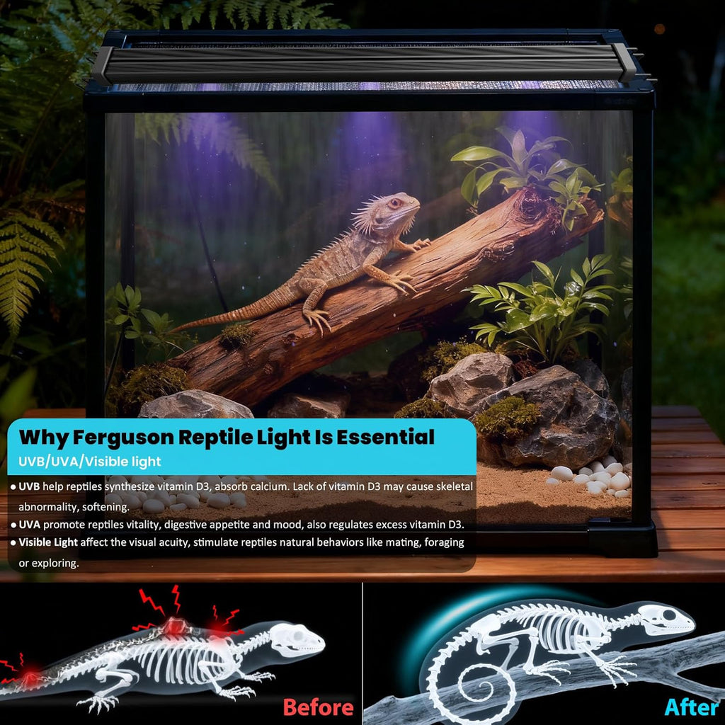 UVB Light for Reptiles, 16IN 12W LED UVA UVB Terrarium Lamp with 4 Auto Modes for Ferguson Zones, Terrarium Lamp for Bearded Dragons, Leopard Gecko, Snake, Turtle & More
