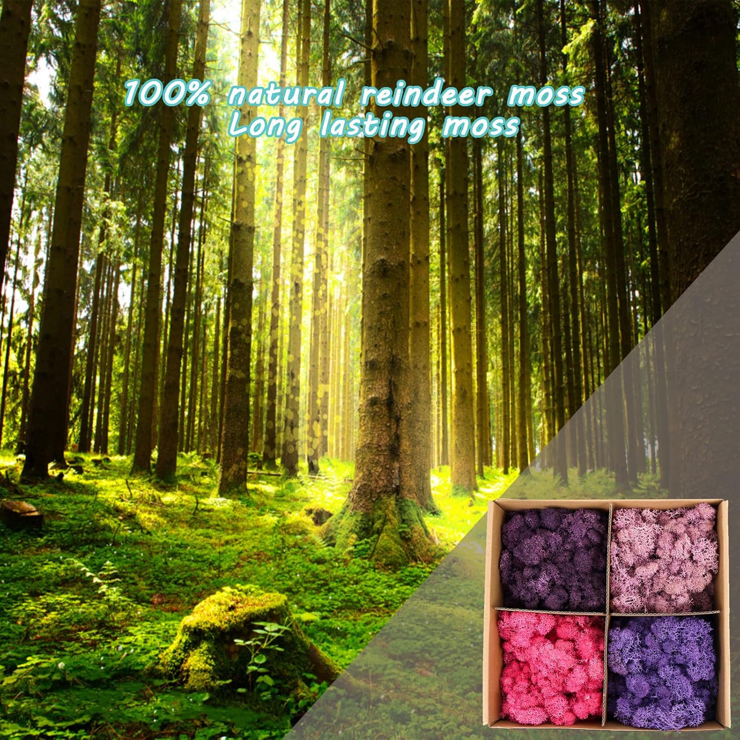 Amoueterno Preserved 4 Color Reindeer Moss,Total 14OZ Each Color 3.5OZ, Natural Real Moss, DIY Kit Crafts Art Wall Decor Florist Decor,Purple