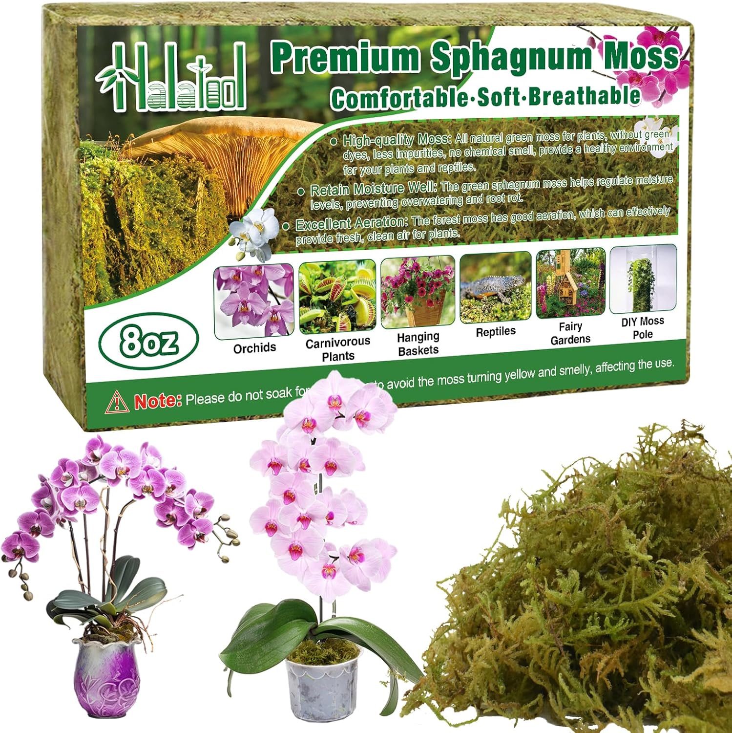 Halatool 8OZ Premium Sphagnum Moss for Plants, 12QT Green Moss for Plants Indoor Potted Orchid Moss for Repotting Succulent Carnivorous Terrarium Gardening Reptiles