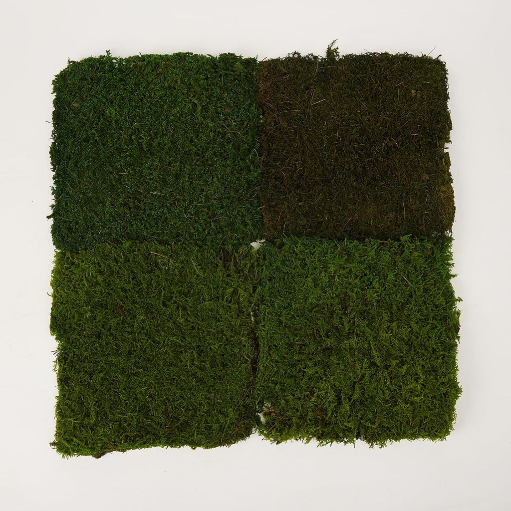 Preserved Sheet Moss Natural Green Decorative Real Natural Green DIY Kit Gardenning Art Wall Decor Florist Decor Easter Table Decor Wedding(4 sq.ft.) (Green-A,Green-B,Green-C)