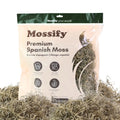 Mossify Premium Spanish Moss for Plants Indoor & Outdoor 150g, 5.3Oz - Natural Dried Preserved Moss for Crafts, Terrariums, Floral Arrangements, Garden & Home Décor – Humidity Retaining Spanish Moss