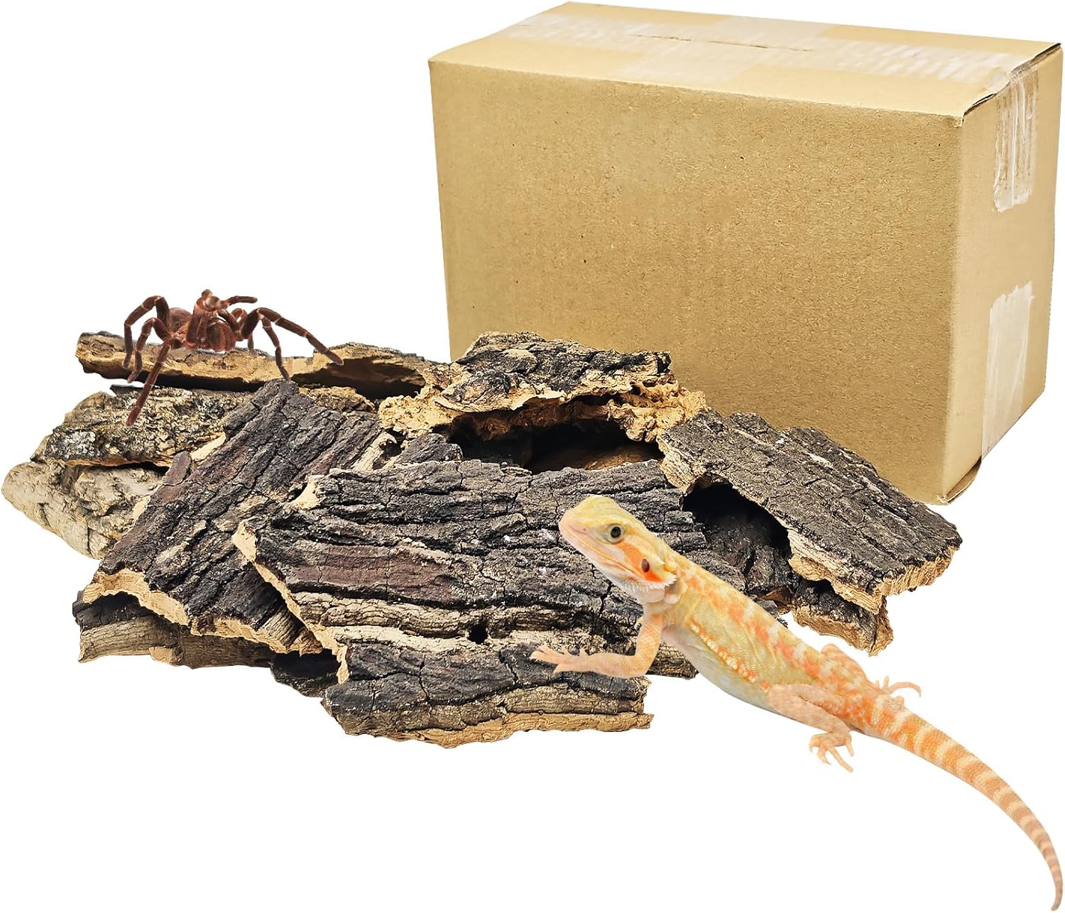 BNOSDM Reptile Cork Bark Substrate 16oz Tortoise Bedding for Habitat Natural Flat Cork Wood Bulk Terrarium Reusable Champagne Bark for Lizard, Crested Gecko, Spider, Chameleon, Ball Python, Tree Frog