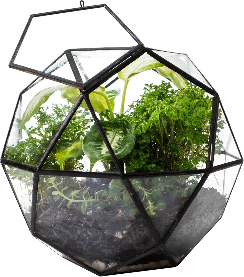 KraftStories Clear Glass Terrarium with Door | Sphere Design Container | Ideal Planter for Moss and Indoor Plants | Maintains Humidity | Self-Sustaining Indoor Garden Ecosystem (Only Terrarium)