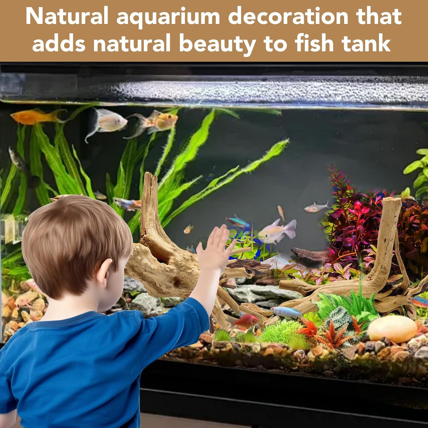 Natural Large Spiderwood Driftwood for Aquarium Decor Rptile Fish Tank Decoration Assort Branch 13-16'' Pack of 1