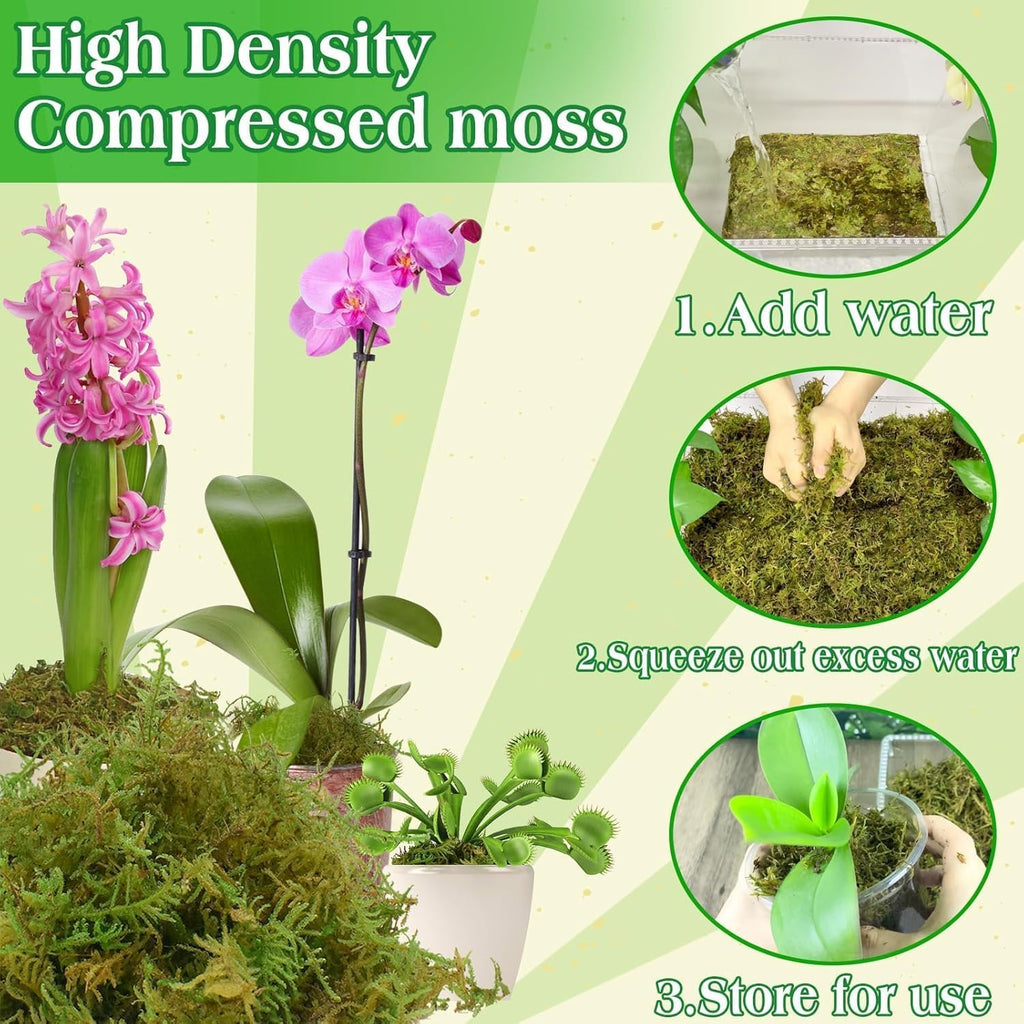 Halatool 2.2LBS Forest Green Moss for Indoor Potted Plants, Orchid Potting Mix, Indoor Potting Plant Moss for Repotting Terrariums Garden Reptiles