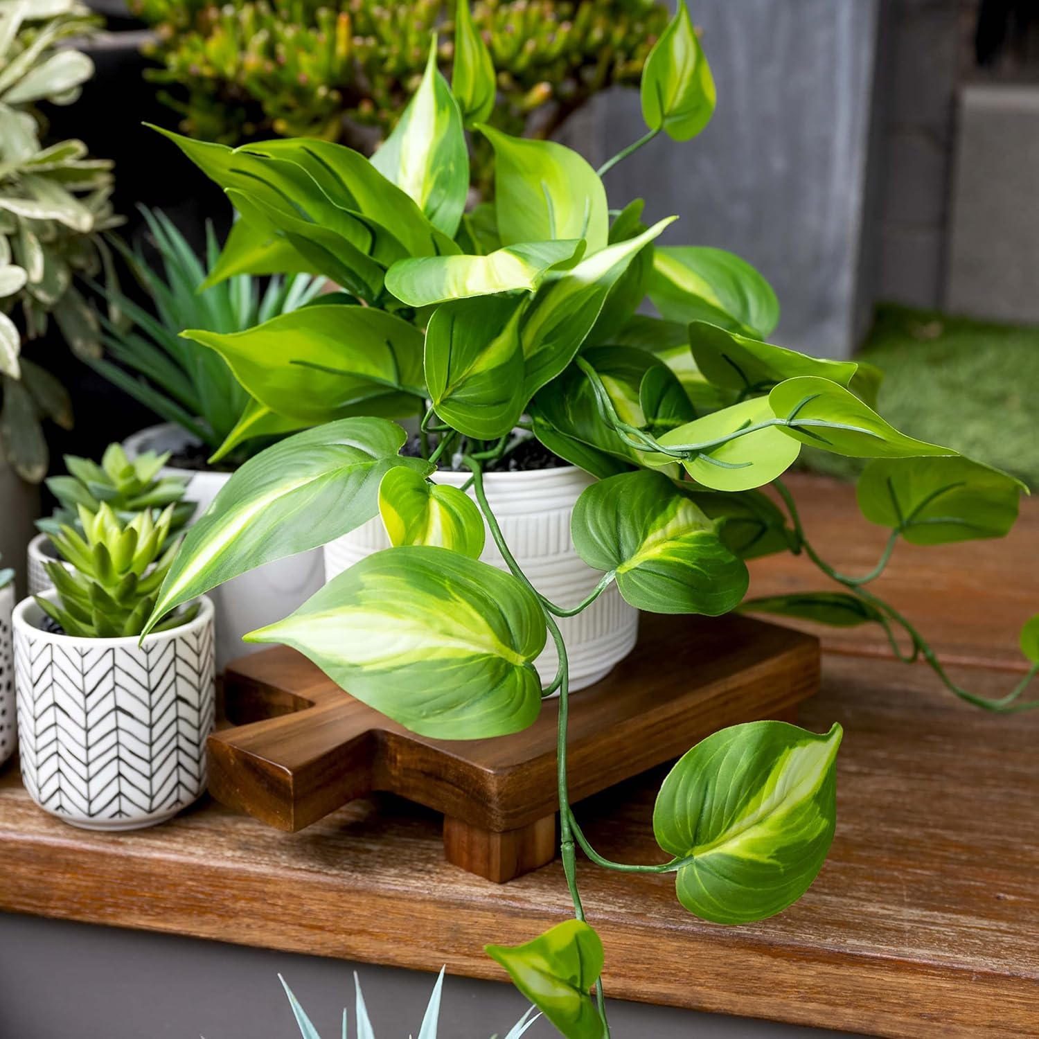 Kurrajong Farmhouse Dark Green Fake pothos | Fake Plant for Shelf Decor | Artificial Trailing Ivy Plant with 5" Wide x 3.5" high Ceramic Pot Faux pothos Plant for Floating Shelves