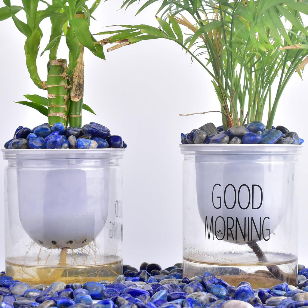 Polished Lapis Lazuli Crystals - 0.5" 10 oz Handpicked Natural Tumbled Gemstones Rocks, Pebbles for Reiki, Chakra, Healing Home Decor