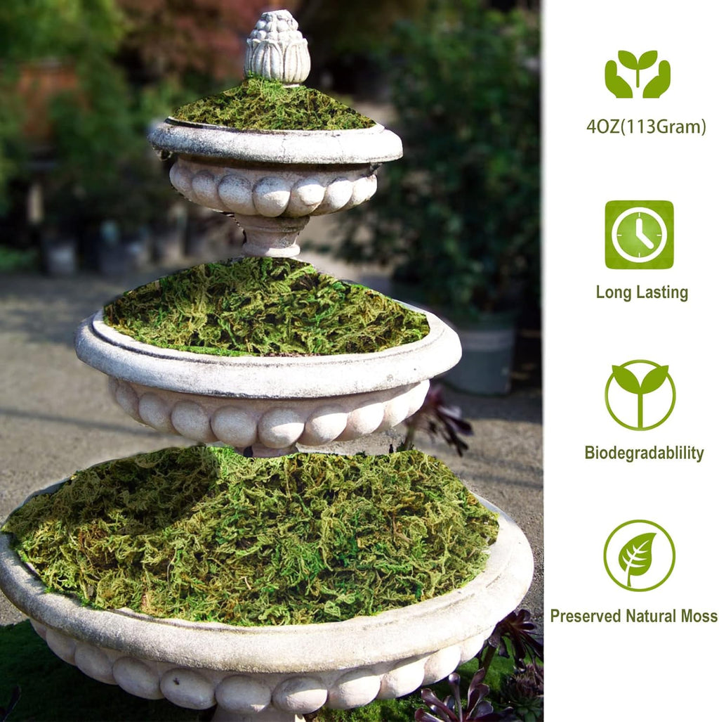 Fake Moss Artificial Moss for Potted Plants Greenery Moss(4OZ) Home Decor Fairy Garden Crafts Wedding Decoration (Fresh Green)