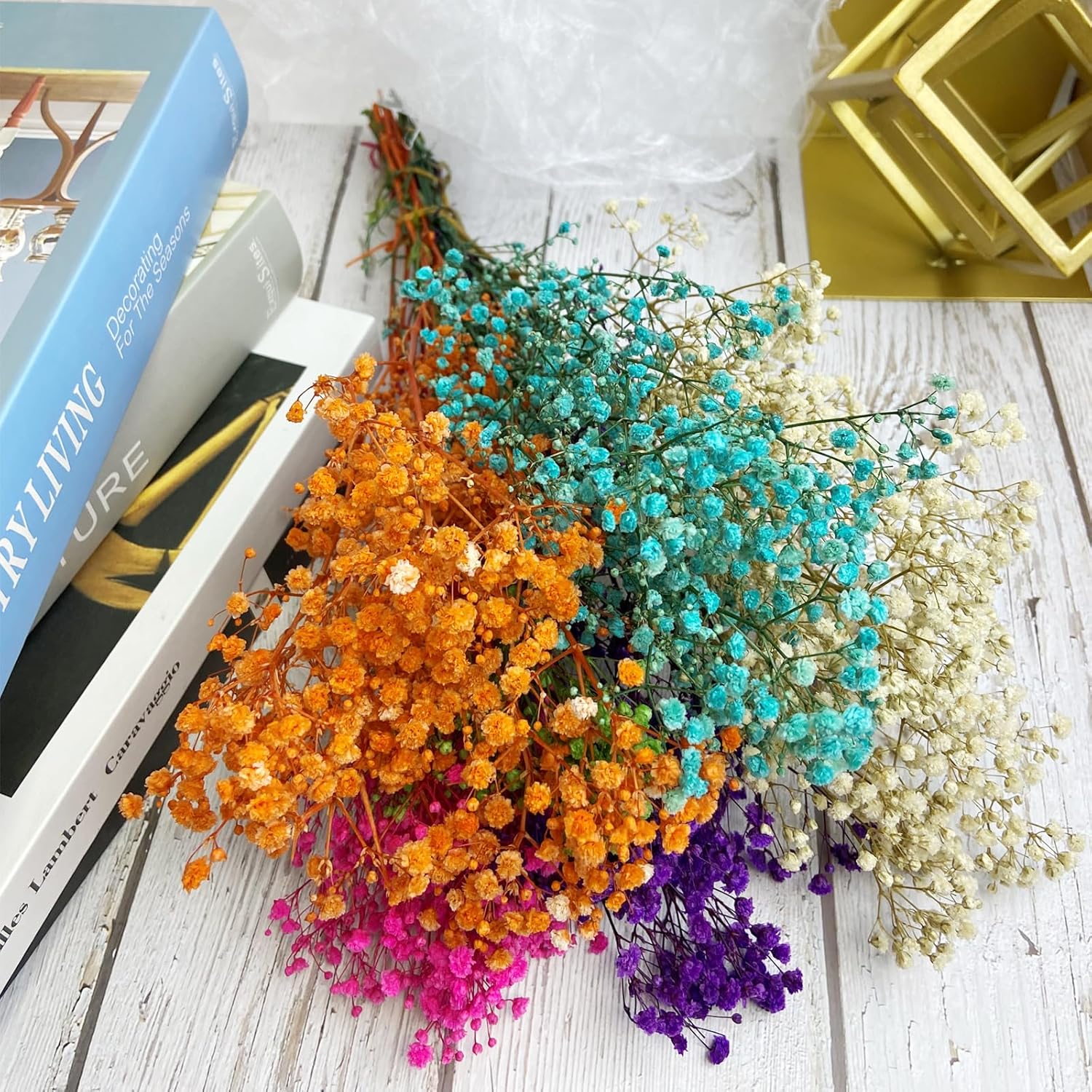 Preserved Baby's Breath, 100% Natrual Gypsophila Long Lasting Flowers for Vase Arrangements Home Decoration Photo Props Parties and Weddings, DIY Décor-Mix