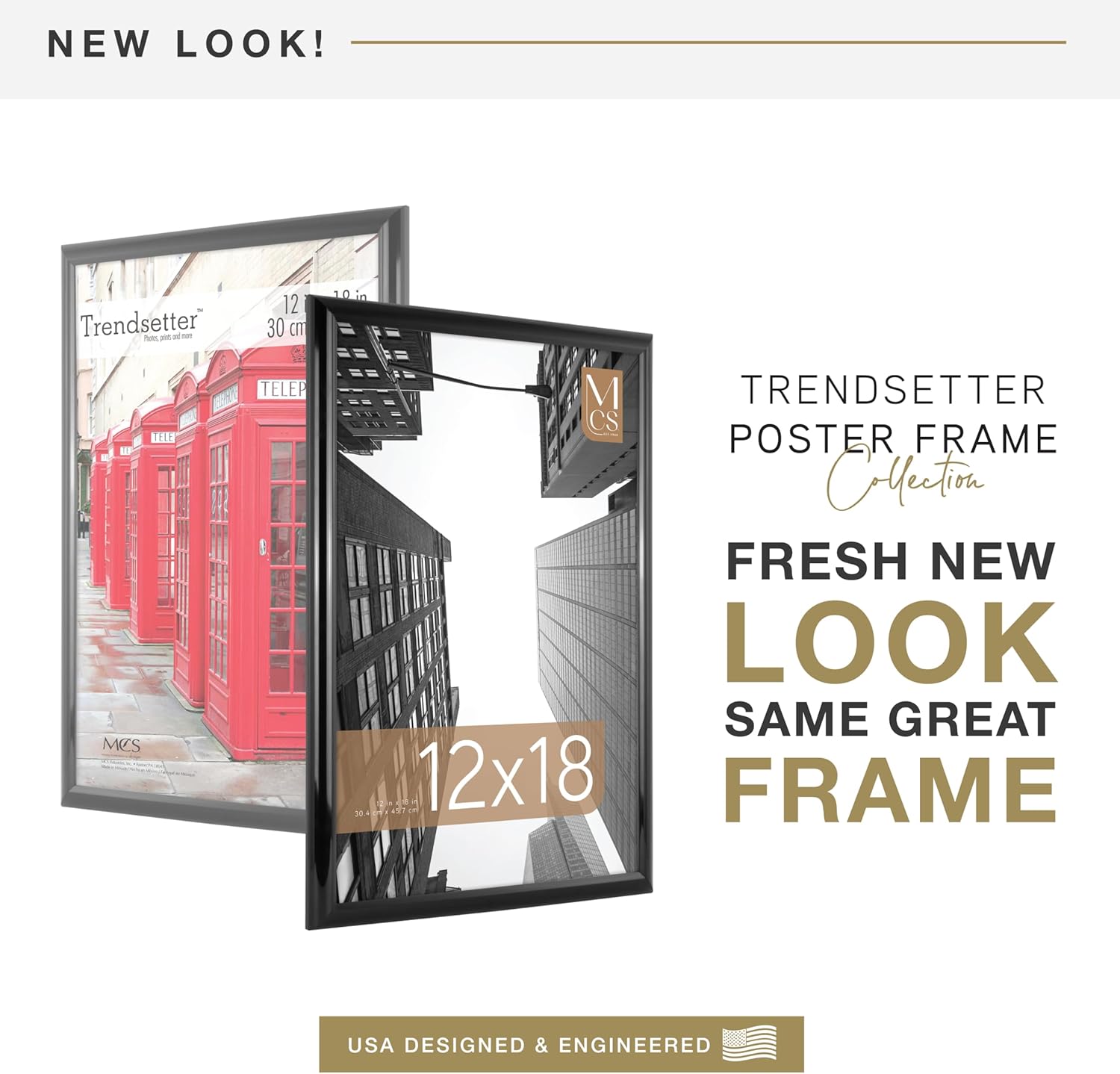 MCS Trendsetter 12x18 Poster Frame Black High-Gloss, Vertical & Horizontal Wall Hanging Large Picture Frame for Photos, Posters & Art Prints (2-Pack)
