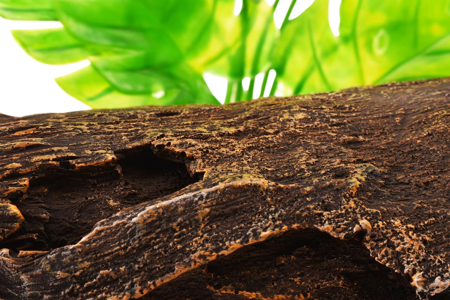 Reptile Hide 10.5 Inch Natural Looking Driftwood Aquarium Decor | Hideout for Amphibians, Bearded Dragons, Geckos, Lizards & Fish | Hollow Log with Life-Like 7" Monstera Plant | Terrarium & Tank Decor