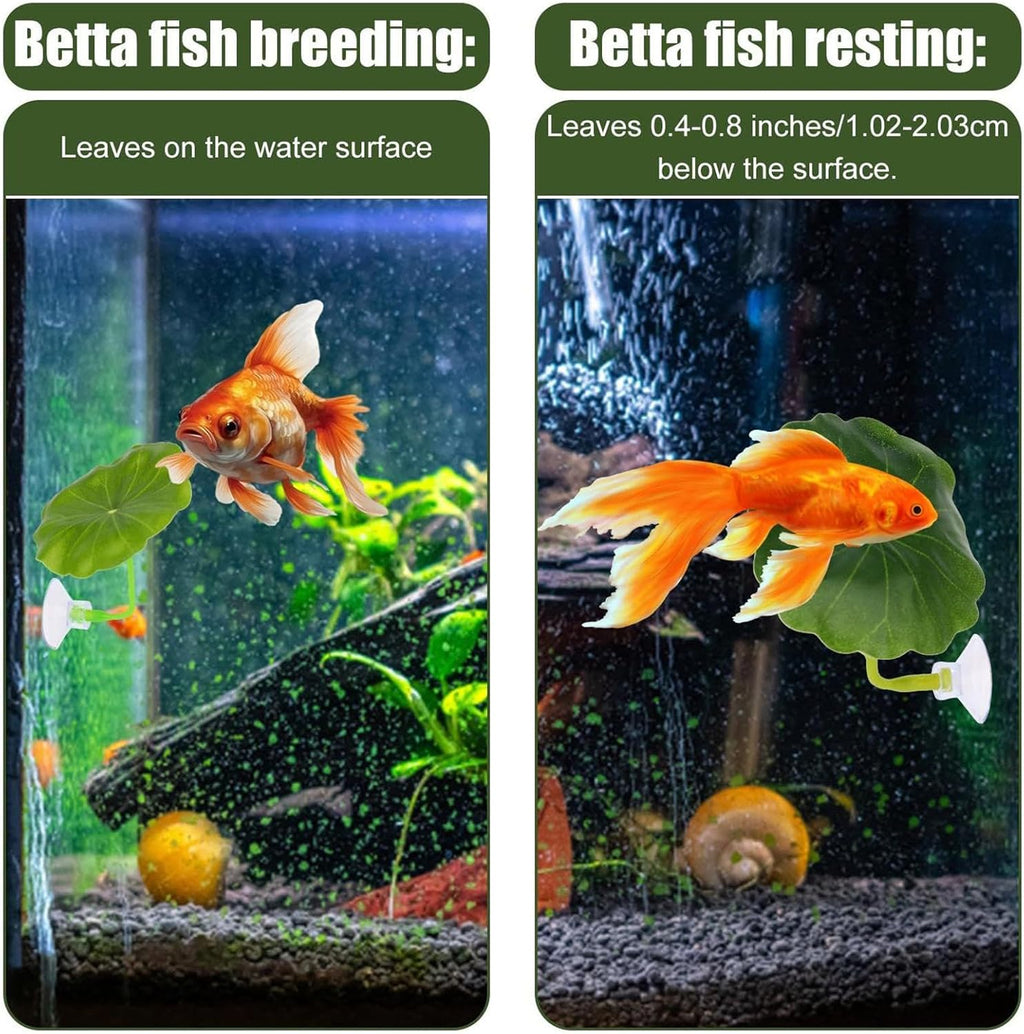Betta Fish Hammock - Adjustable Leaf Rest Set for Aquariums Featuring Five Flexible Pads Designed for Betta Fish, Shrimp, Corydora, and Loaches to Play, Sleep, and Breed Comfortably in Home or Office