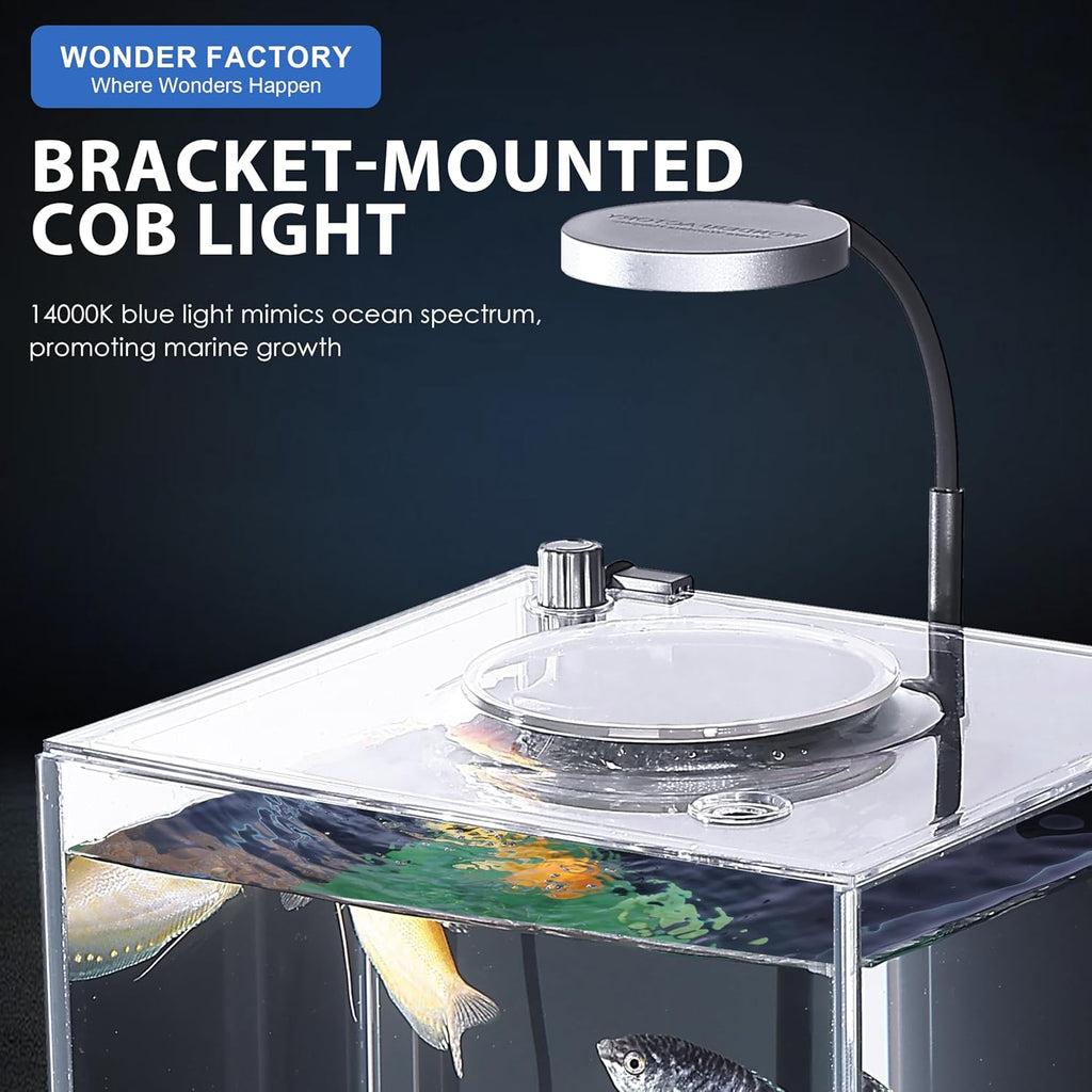 Nano Desktop Betta Fish Tank Set, 2.7 Gallon Glass Aquarium Hidden Bottom Filtration System Self Cleaning Filter Light Gravel Plant Cleaning Tool, for Small Space Easy Setup Space-Saving Design