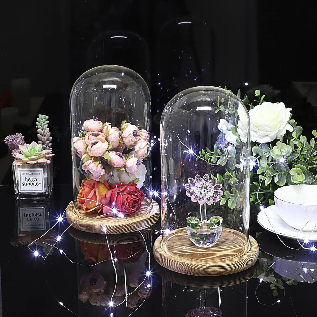 JUXYES Pack of 2 Glass Display Dome Cloche with Solid Wood Base, Clear Dome Bell Terrarium Jar Glass Cloche Bell Jar Display for Plants Collectible Figure