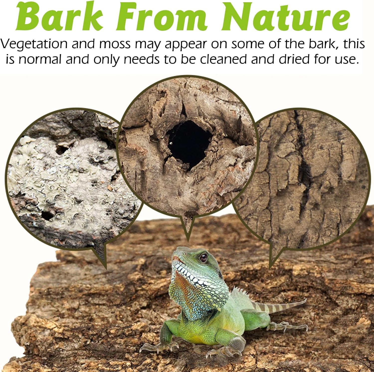Reptile Cork Bark Bulk 1.5 Lb Cork Wood for Terrarium, Natural Flat Cork Bedding Terrarium Substrate for Bearded Dragon Snake Spiders Hermit Crabs Geckos Tortoise