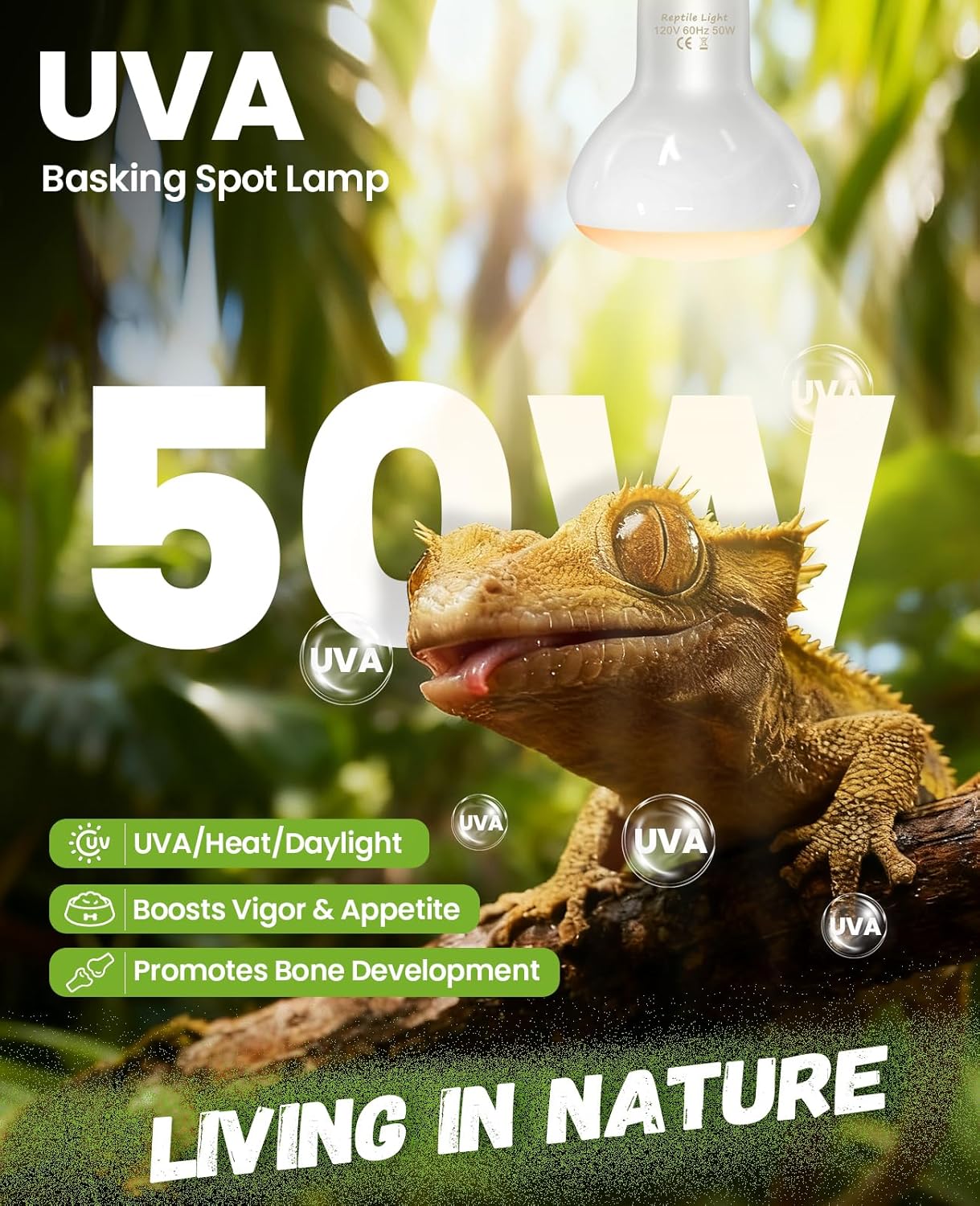 KINDEEP 50W Reptile Heat Lamp Bulbs: Reptile Day & Night Basking Spot Bulb Combo Amphibian Infrared Heat Lamp Bulb - UVA Basking Spot Daylight Heating Light Bulb for Lizard Tortoise Snake