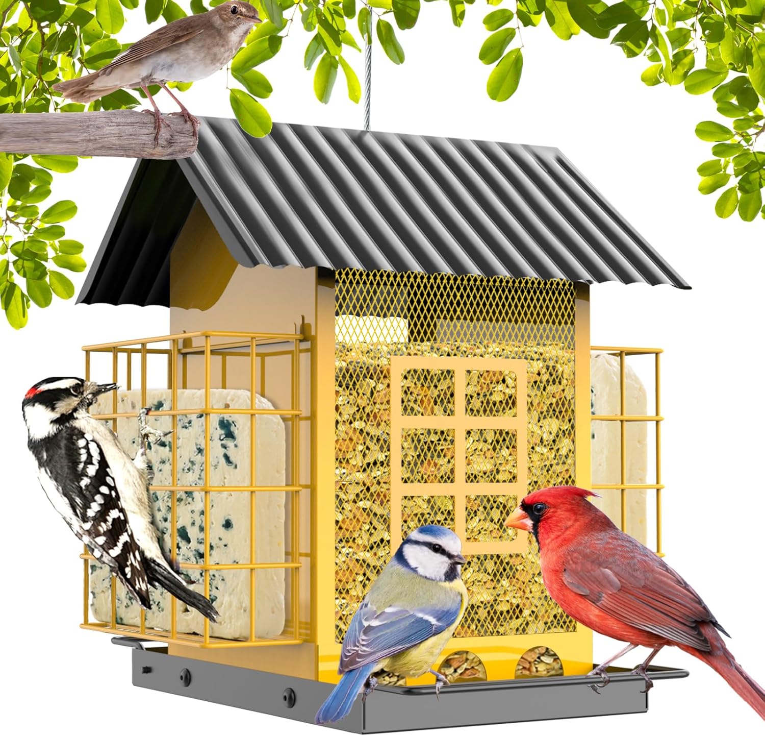 Bird Feeders for Outdoors Hanging, Metal Bird Feeder with Double Suet Cage Cake, Large Capacity, Birdfeeders Sturdy & Weatherproof, Easy to Clean & Refill, Great for Attracting Wild Birds