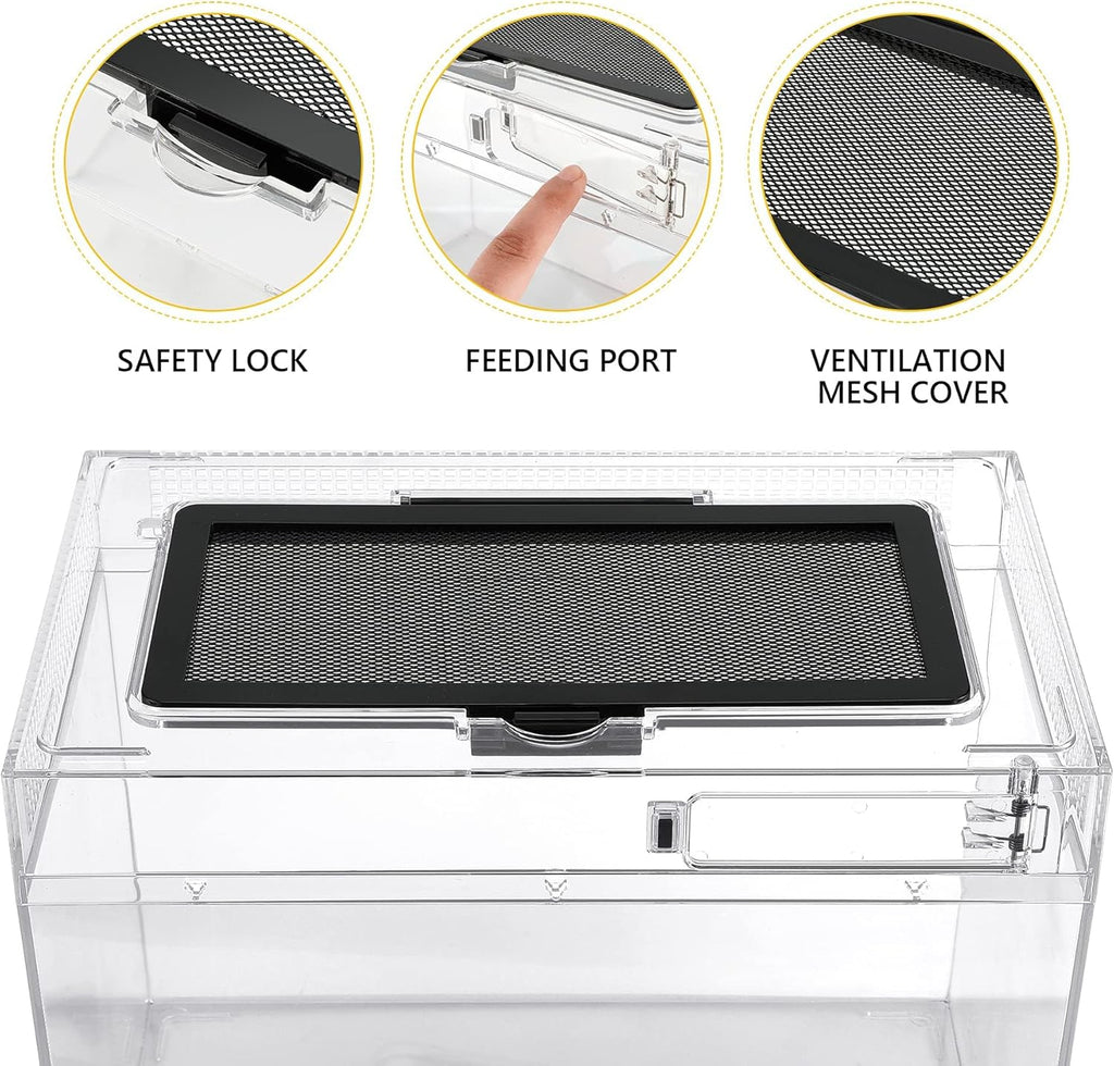Reptile PC Terrarium Amphibian Tank Spider Enclosure Snake Cage 7x11.8x5.9inch Suitable for breeding Leopard Gecko,Frog,Hermit Crab,Lizards,Isopod,Tarantula,Turtles,Chameleons,Jumping Spiders