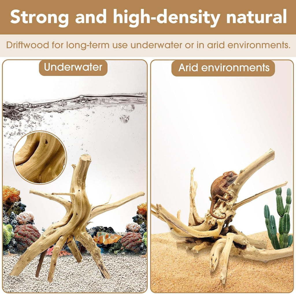 Natural Large Spiderwood Driftwood for Aquarium Decor Rptile Fish Tank Decoration Assort Branch 13-16'' Pack of 1