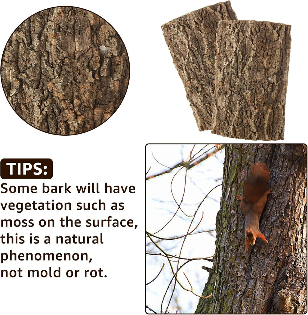 RHBLME 4 Pack Cork Bark, 11.8" L x 7.8" W Cork Bark for Reptiles, Cork Bark for Terrarium, Reptile Tank Background Terrarium Backdrop Wall Decor Natural Reptile Climbing Mat