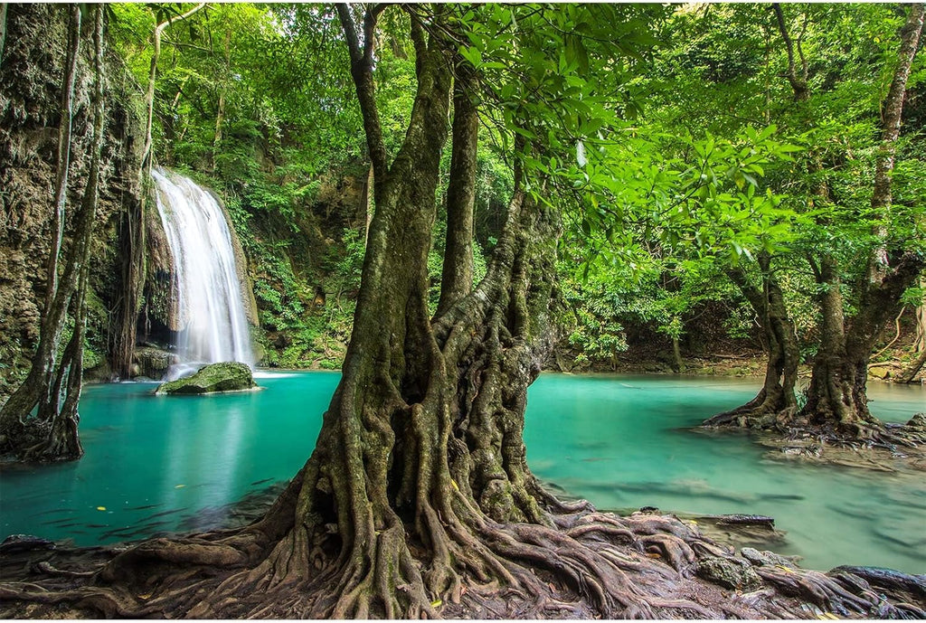 Waterfall Aquarium Background Tropical Rainforest Natural Landscape Terrarium Background Big Tree and Emerald Lake Stream Fish Tank Background Tropical Style Reptile Habitat Background 24x16in
