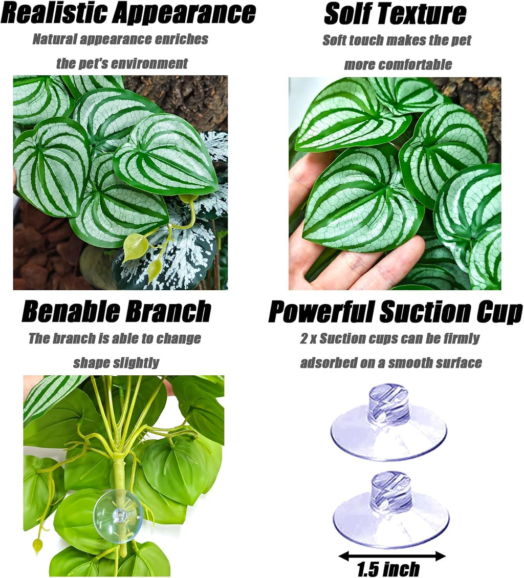 Woyrise 2 Pack Reptile Plants, Terrarium Hanging Plant Vines, Artificial Leaves with Suction Cup, Bearded Dragon Tank Accessories for Gecko Lizard Snake Frog Tortoise Decorations - Calathea Orbifolia