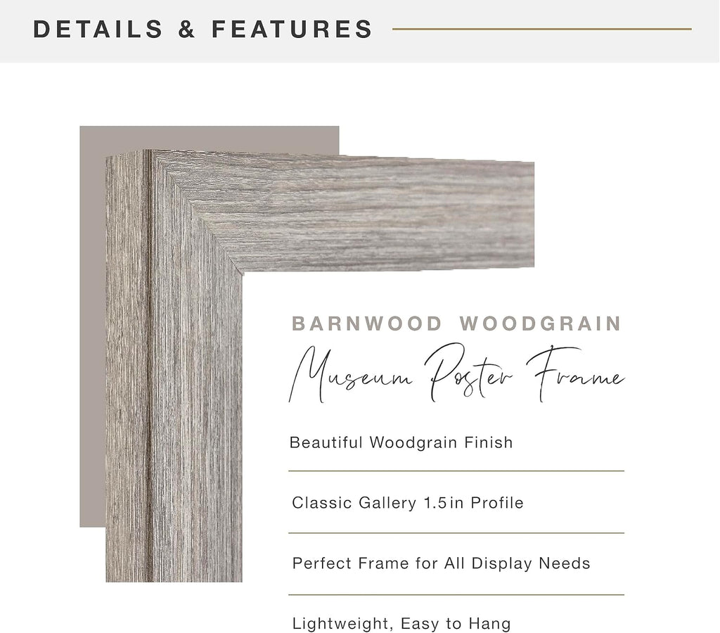 MCS Museum Poster Frame 20x28 Barnwood, Vertical & Horizontal Wall Hanging Large Picture Frame for Photos, Posters & Art Prints (1-Pack)