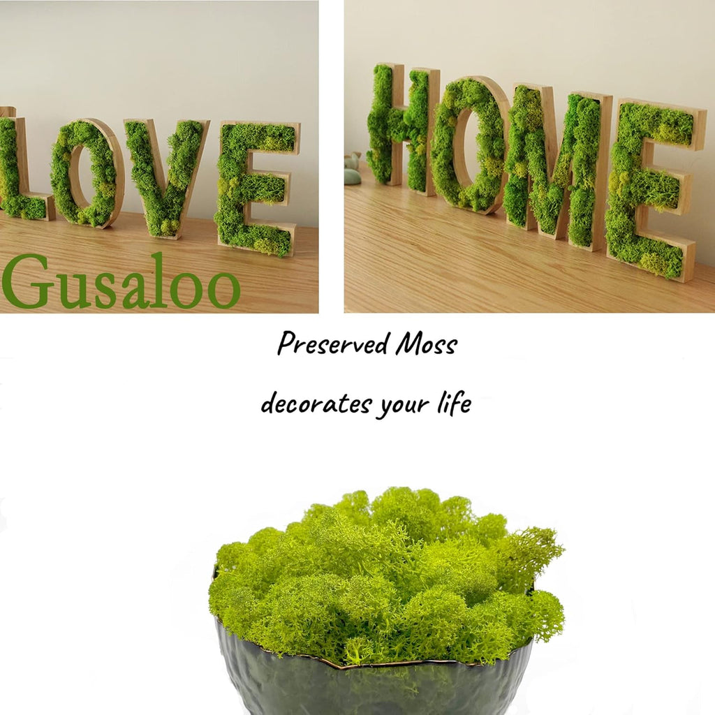 Moss Preserved Artificial Moss for Potted Plants Natural Fresh Green Moss for Craft Arts Project Wall Decor Table Fake Moss Wedding Centerpieces Garden Terrariums Decoration Chartreuse 3.5OZ