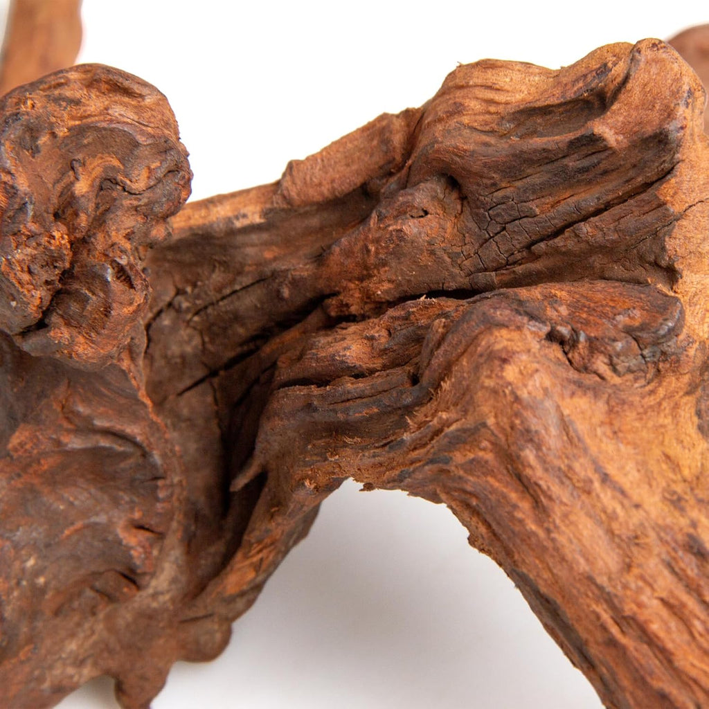 emours Aquarium Driftwood, 2 Pieces, Natural Mopani Style Branches, Low-Tannin & Smooth Edges, Sink Faster After Soak, Tie Moss Easily, for Planted/Shrimp/Betta Tanks (Small (8–12 in / 20–30 cm))