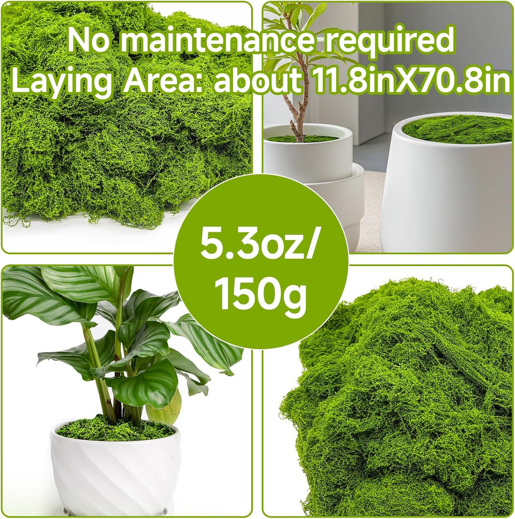 Fake Green Moss for Potted Plants Indoor, 5.3oz Artificial Moss for Crafts, Faux Moss Decor for Fairy Garden, DIY Decorative, Model Making, Walls, Glass Containers, Home