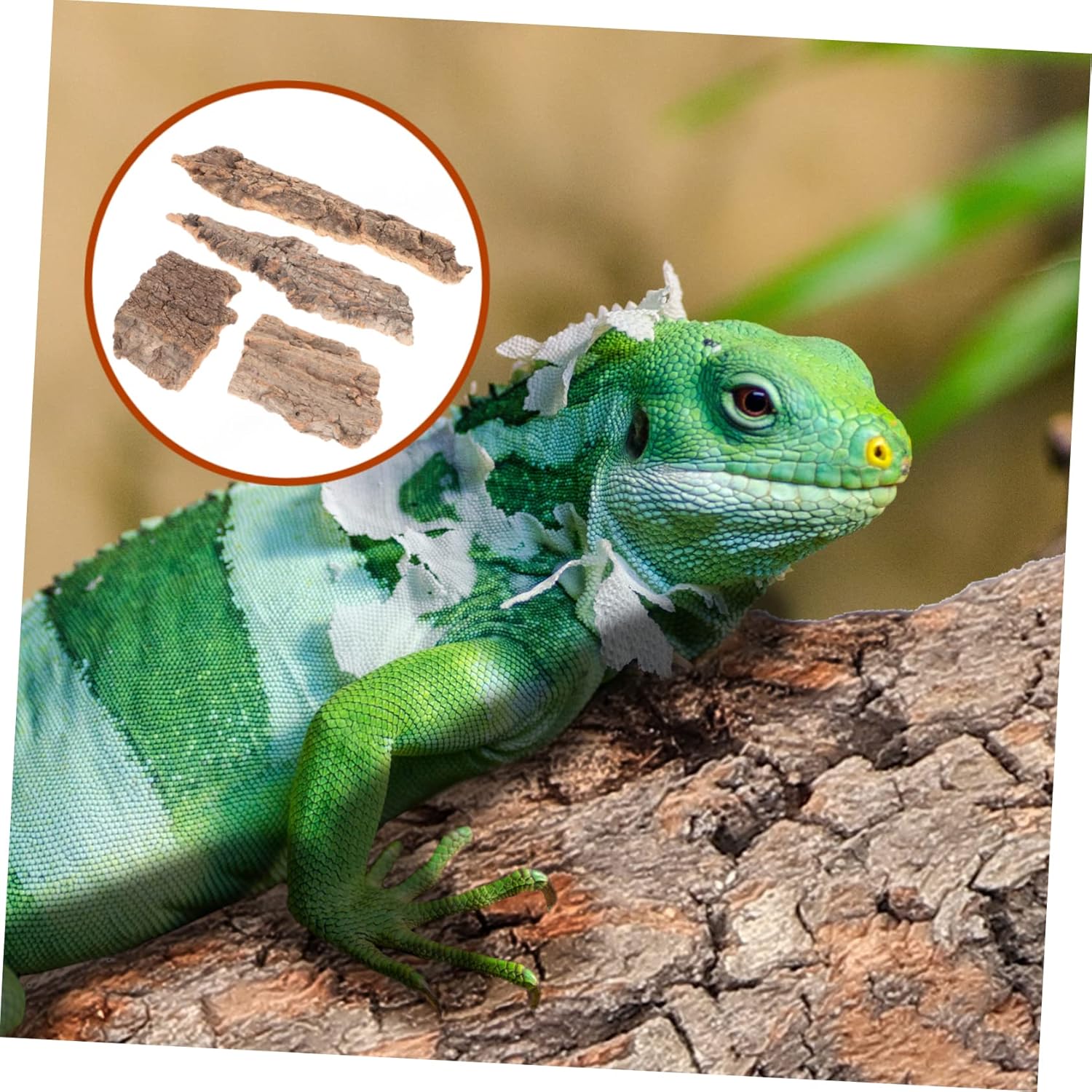 4Pcs Reptile Cork Bark Climbing Platform Natural Wood Terrarium Decor Hideouts for Snakes Lizards Small Pets Aquarium Accessories