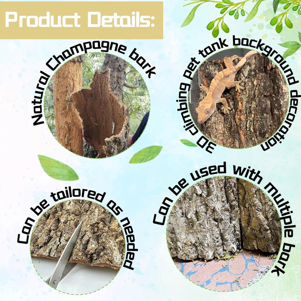 Hamiledyi 6PCS Cork Terrarium Background 15.7x11.8in Natural Large Cork Bark Backdrop Reptile Climbing Mat Tank Habitat Decor for Spider Lizard Chamelon Turtle Beared Dragon