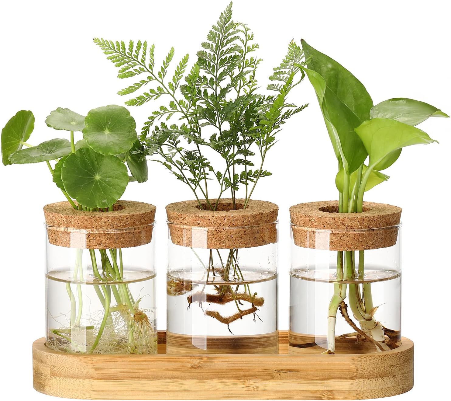 3Pcs Propagation Stations, Plant Terrarium with Lid and Wooden Stand,Desktop Glass Planter Hydroponics Vase,Home Office Living Room Decor Gifts