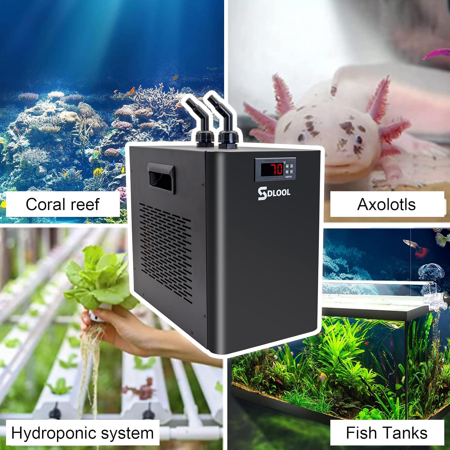 Aquarium Chiller 42gal, 1/10 HP Water Chiller 160L Fish Tank Hydroponics Cooling System with Quiet Design Refrigeration Compressor for Water Weeds Axolotl Jellyfish Coral Shrimp