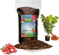 GARDENERA Premium Lychee Potting Soil Mix - Perfect Balance of Nutrients, Drainage, and Aeration for Thriving Lychee Trees - 1 Quart