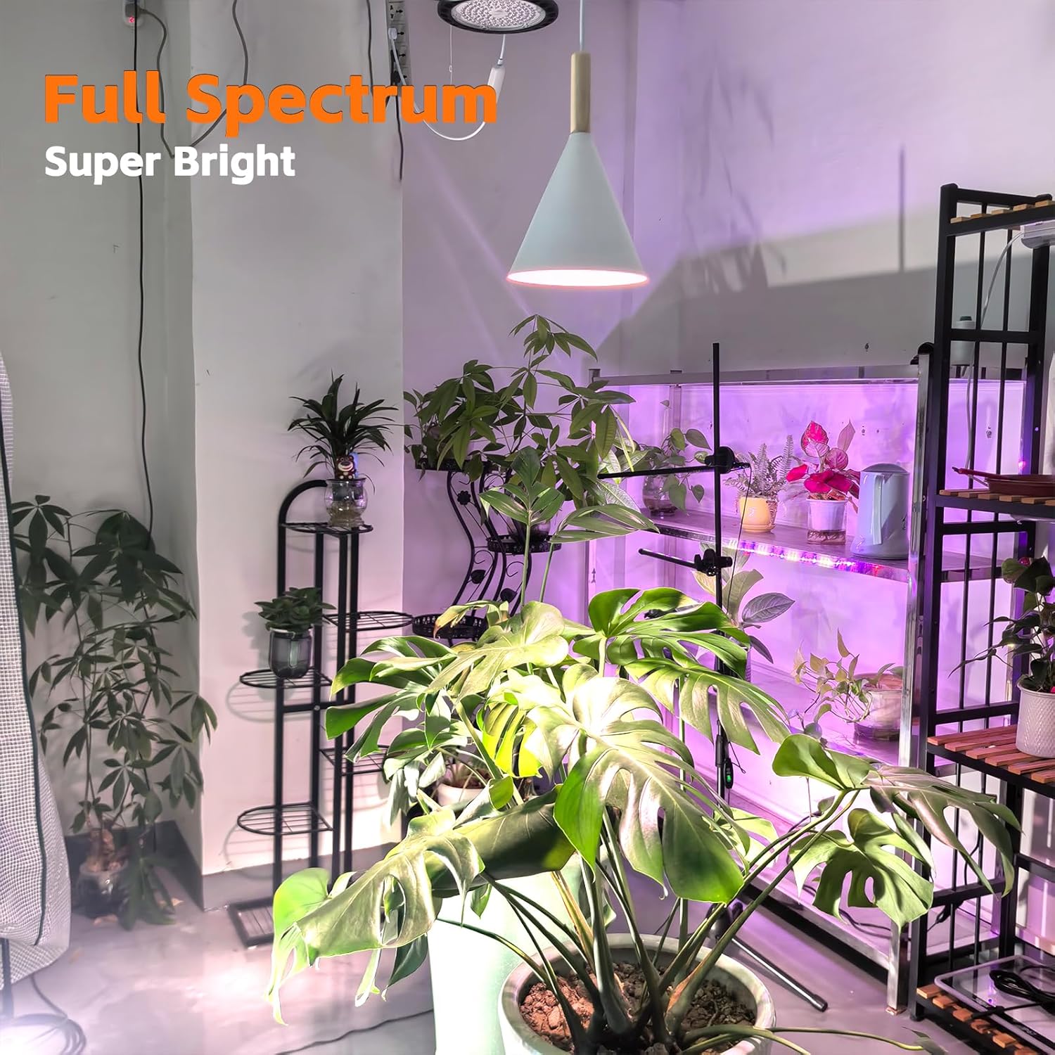 Hanging Grow Lights for Indoor Plants,Pendant Plant Lights for Indoor Growing,15W Full Spectrum, with Timer and 15FT Power Cord, Hanging Grow Light,Large Tall Plant Greenhouse (White)