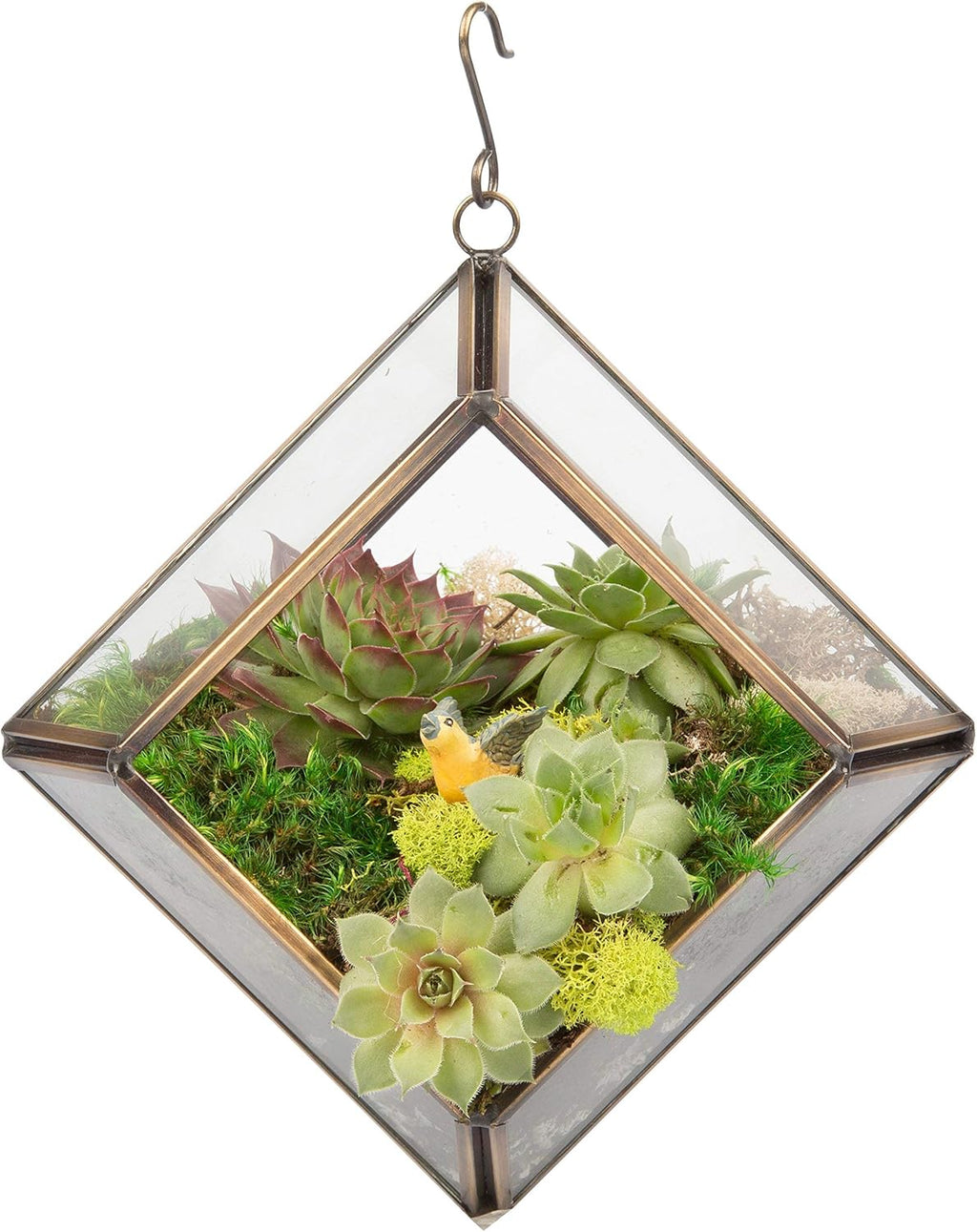 D'Eco Glass Mini Diamond Display (5x5x3.5) - Tabletop or Hanging Planter Terrarium for Home Decor - Fill w/Succulents, Holiday Decorations, Mini Trees & Ornaments - Xmas Gift for Plant Lovers
