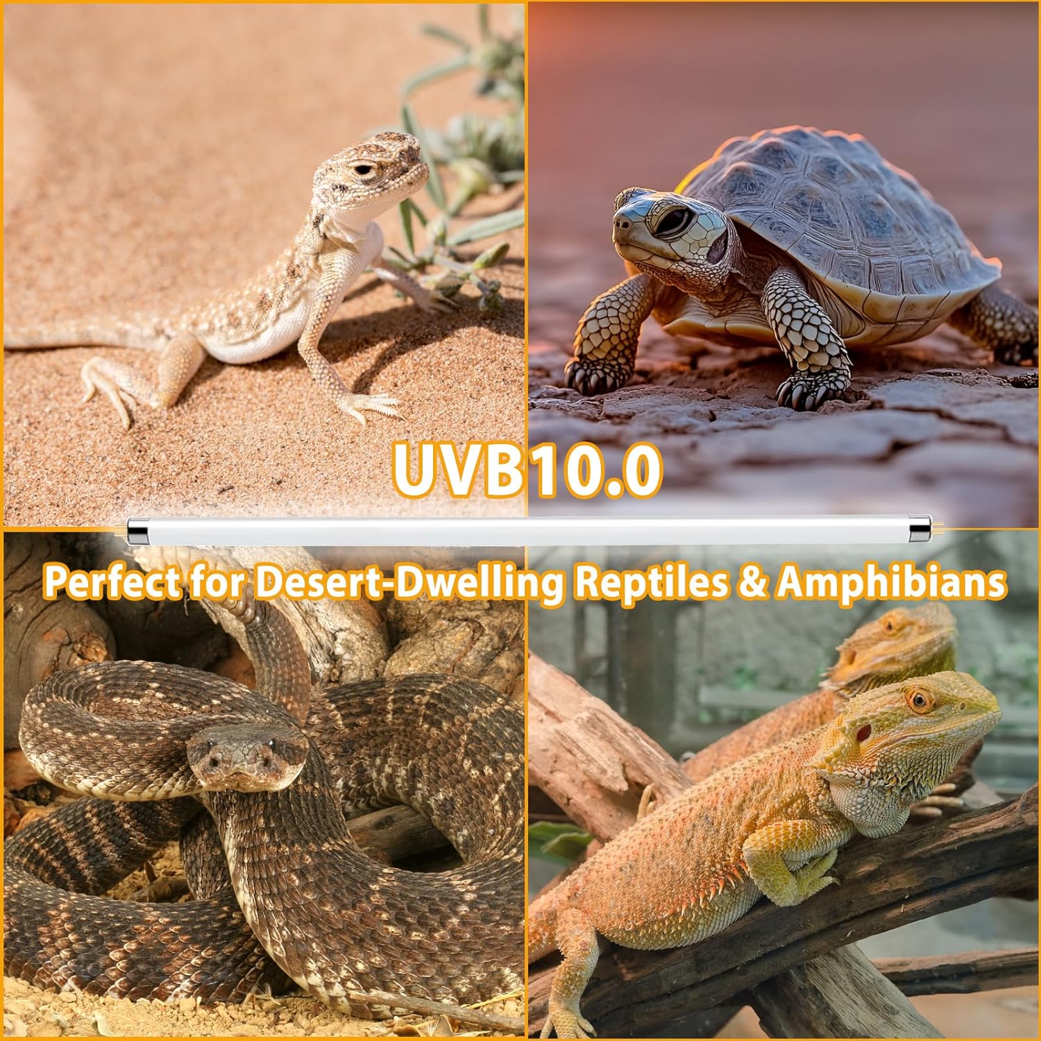 2 Pack T5 HO 10.0 UVB Reptile Bulb 24W, 22-Inch UVA UVB Light for Reptiles, Fluorescent Lamp Tube for Bearded Dragons, Turtles, Chameleons, Lizards, Tropical Desert UVB Lighting