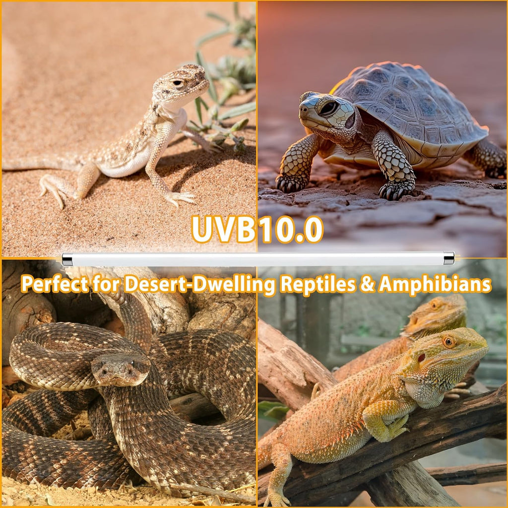 2 Pack T5 HO 10.0 UVB Reptile Bulb 8W, 12-Inch UVA Light for Bearded Dragons, Turtles, Chameleon and Lizards - Fluorescent Lamp Tube for Tropical Desert Lighting