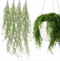 4 Pcs 33 Inch Fake Spanish Moss with 7 oz Artificial Green Moss for Potted Plants Indoor Hanging Garland Greenery Faux Vines Plants Faux Seaweed Greenery for Crafts DIY Garden Home Decor