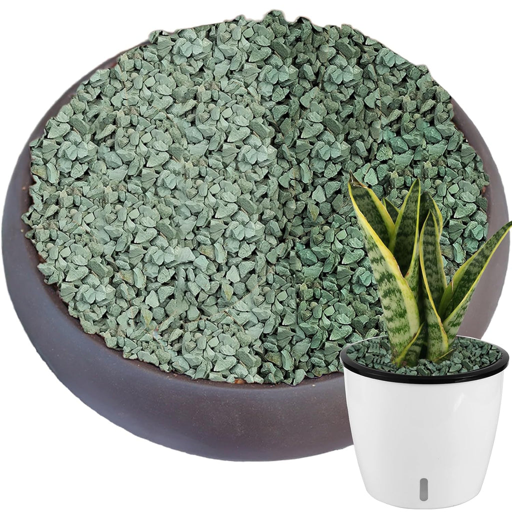 6.6 lbs Succulent and Cactus Bonsai Pebbles, 6-9mm Decorative Landscaping Stones Natural Garden Gravel Rocks for Indoor Outdoor Plants Aquariums DIY, and Gardening Top Dressing, Green Zeolite