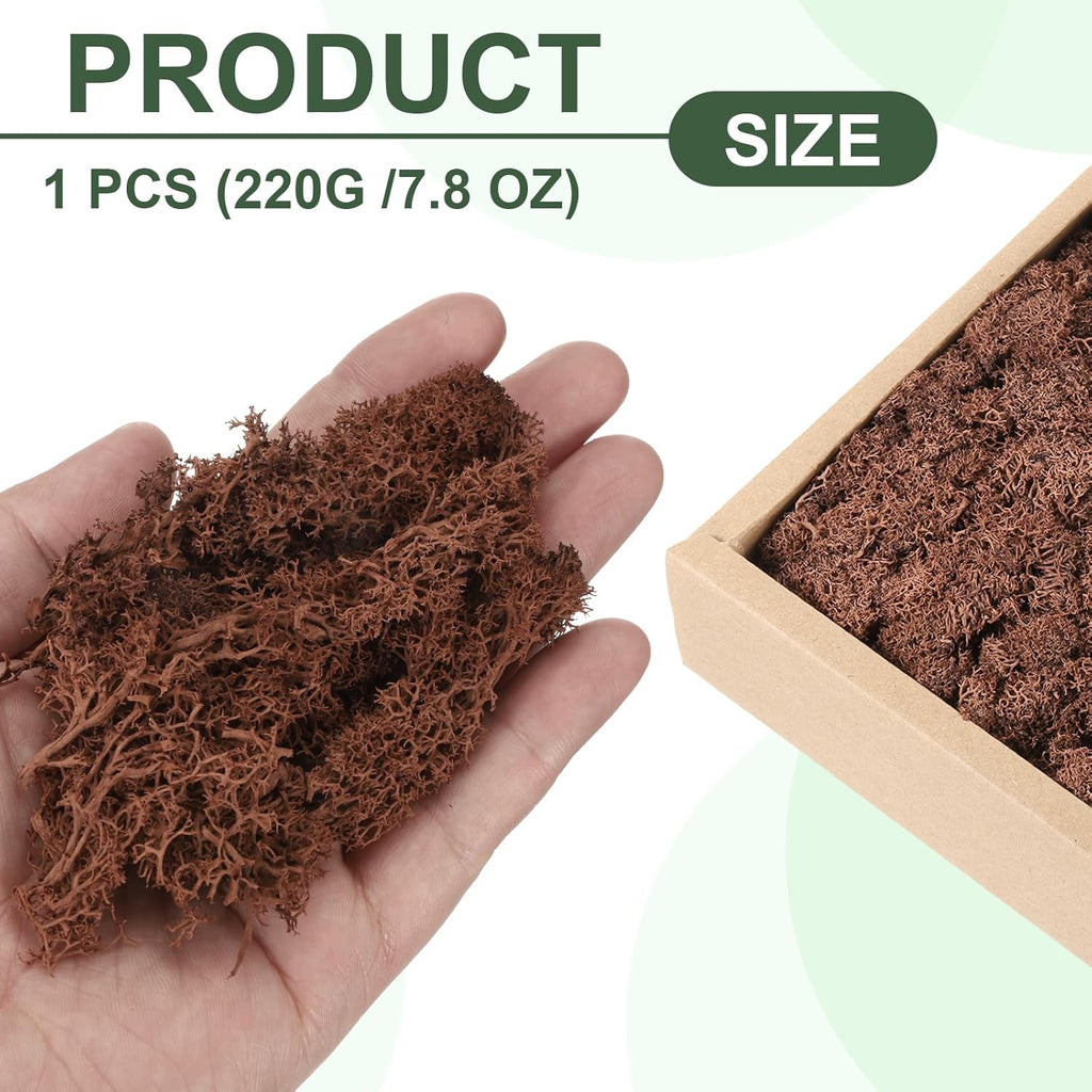 MECCANIXITY 7.8oz Preserved Reindeer Moss, Coffee Decorative Artificial Fake Moss for Potted Plants Indoor Crafts Lichen Centerpieces Decor