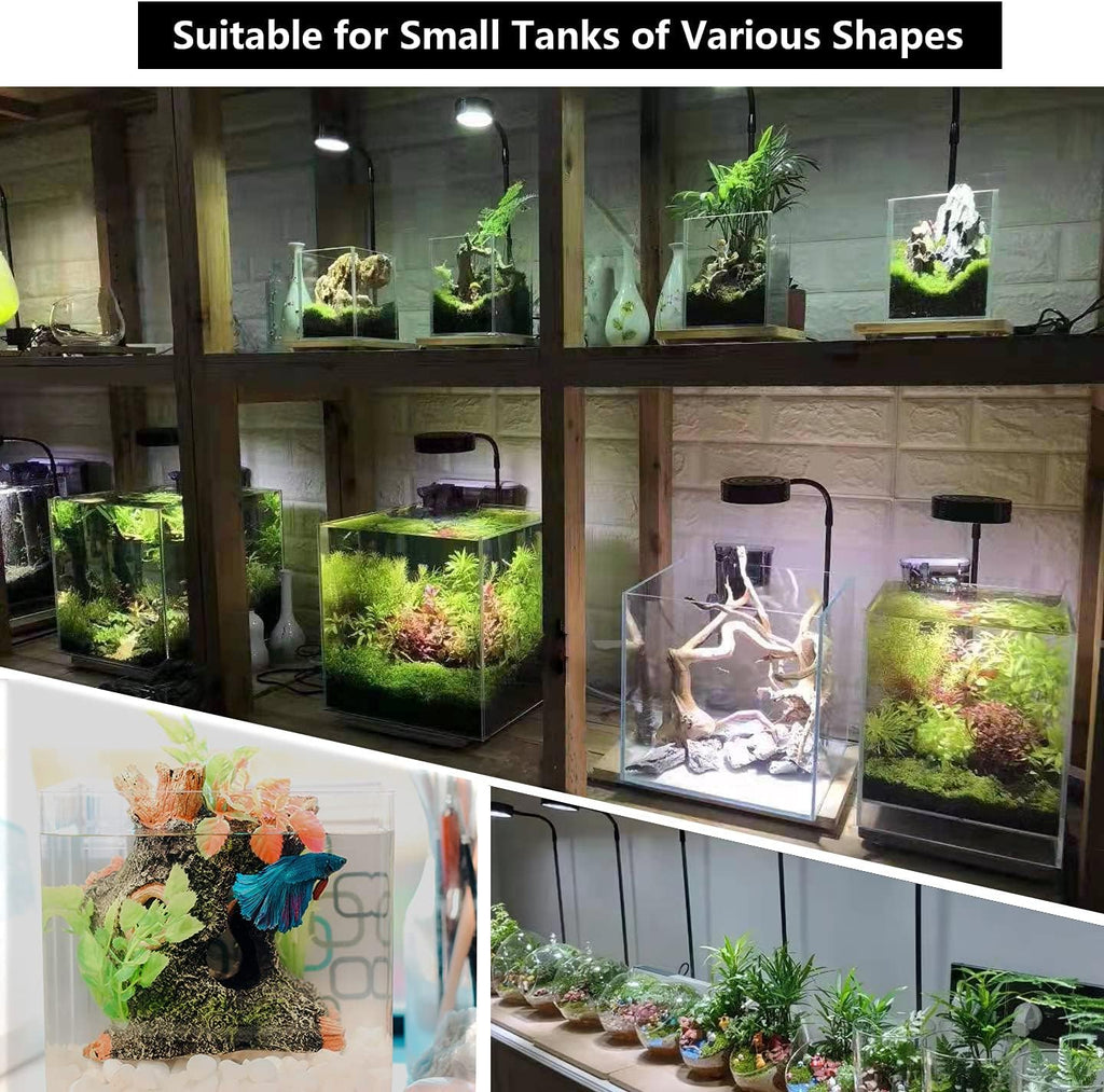 Aquarium Light Full Spectrum LED, for Under 3 Gallon Fish Tank, Light with Timer Auto On/Off, Betta Fish Tank,Indoor Plant Growth, Potted Plants, Succulent, Miniature Gardening Landscape (5)