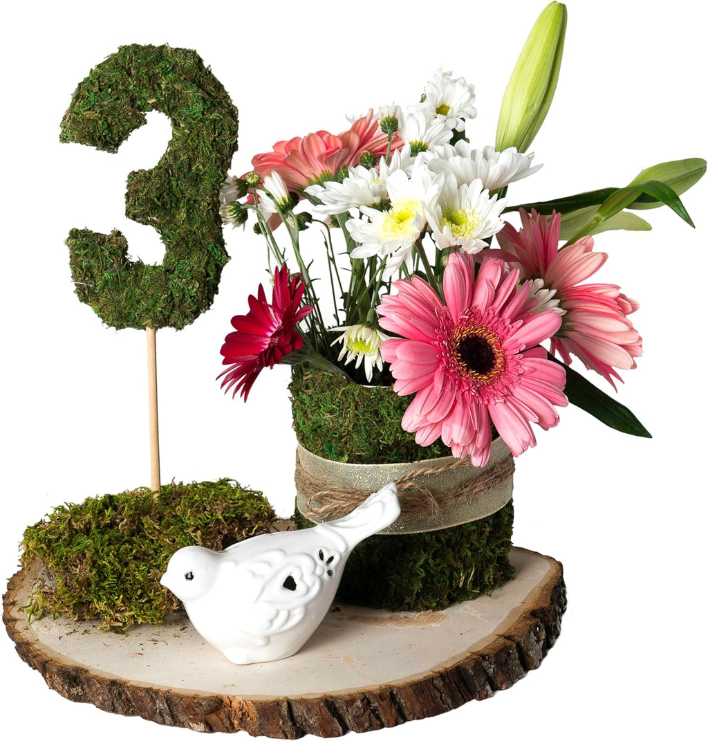 SuperMoss (22406) InstantGreen Moss Mat, Peel n Stick 18inx16in